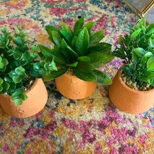 3 mini plants